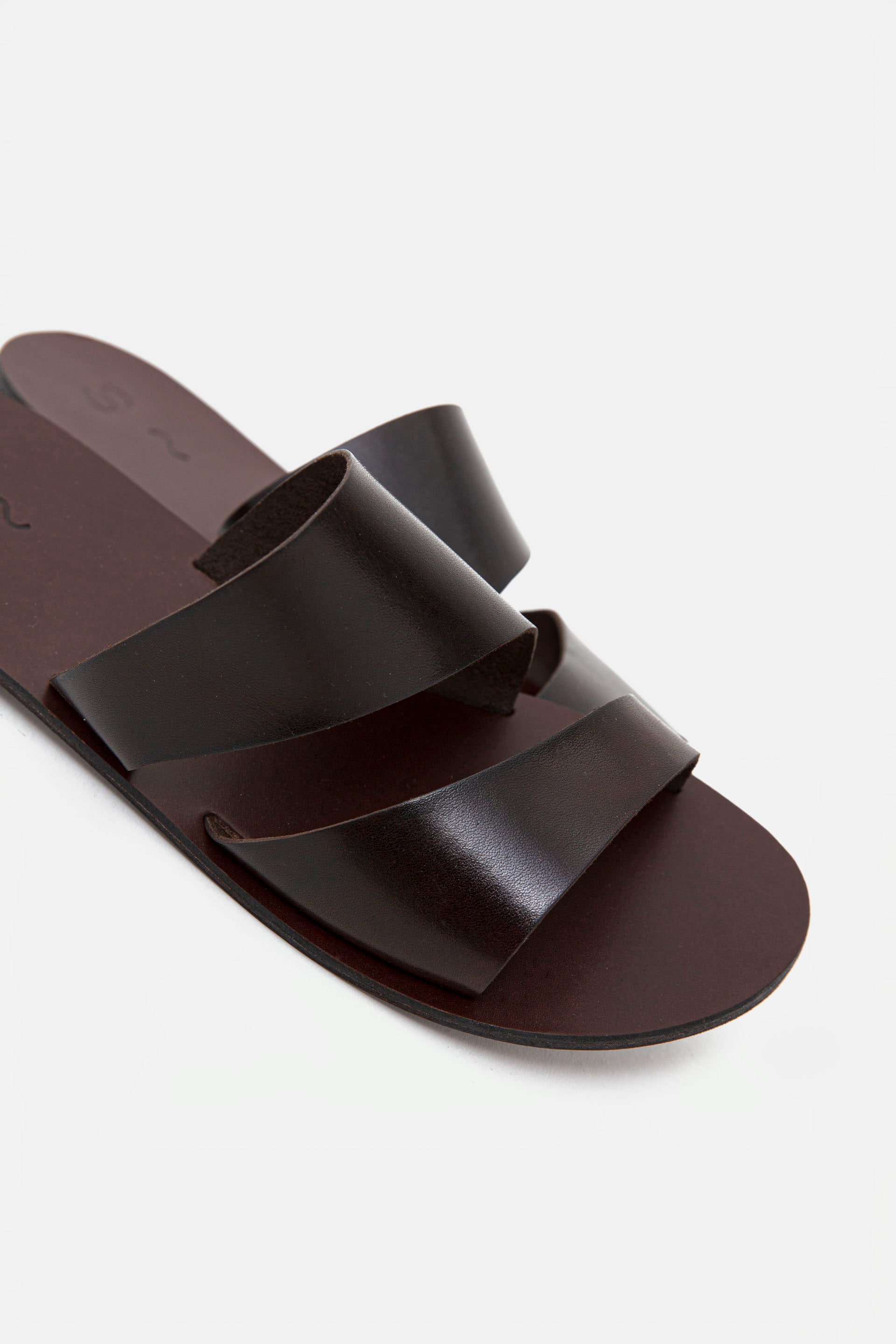 Gorgo~Brown