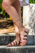 Votsalo~brown