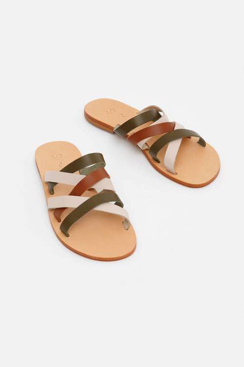 Aigaio~Khaki